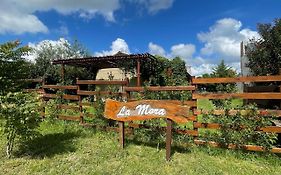 La Mora Cabañas